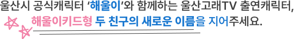 
						울산시 공식캐릭터 '해울이'와 함께하는 울산고래 TV 출연캐릭터, 해울이키드형 두 친구의 새로운 이름을 지어주세요.
					