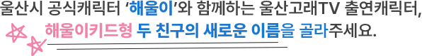 
						울산시 공식캐릭터 '해울이'와 함께하는 울산고래 TV 출연캐릭터, 해울이키드형 두 친구의 새로운 이름을 지어주세요.
					