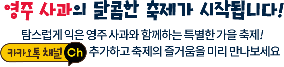 영주 사과의 달콤한 축제가 시작됩니다! 탐스럽게 익은 영주 사과와 함께하는 특별한 가을 축제. 카카오톡 채널 추가하고 축제의 즐거움을 미리 만나보세요.