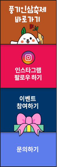 축제 안내 · 인스타그램 · 이벤트 참여 · 문의하기
